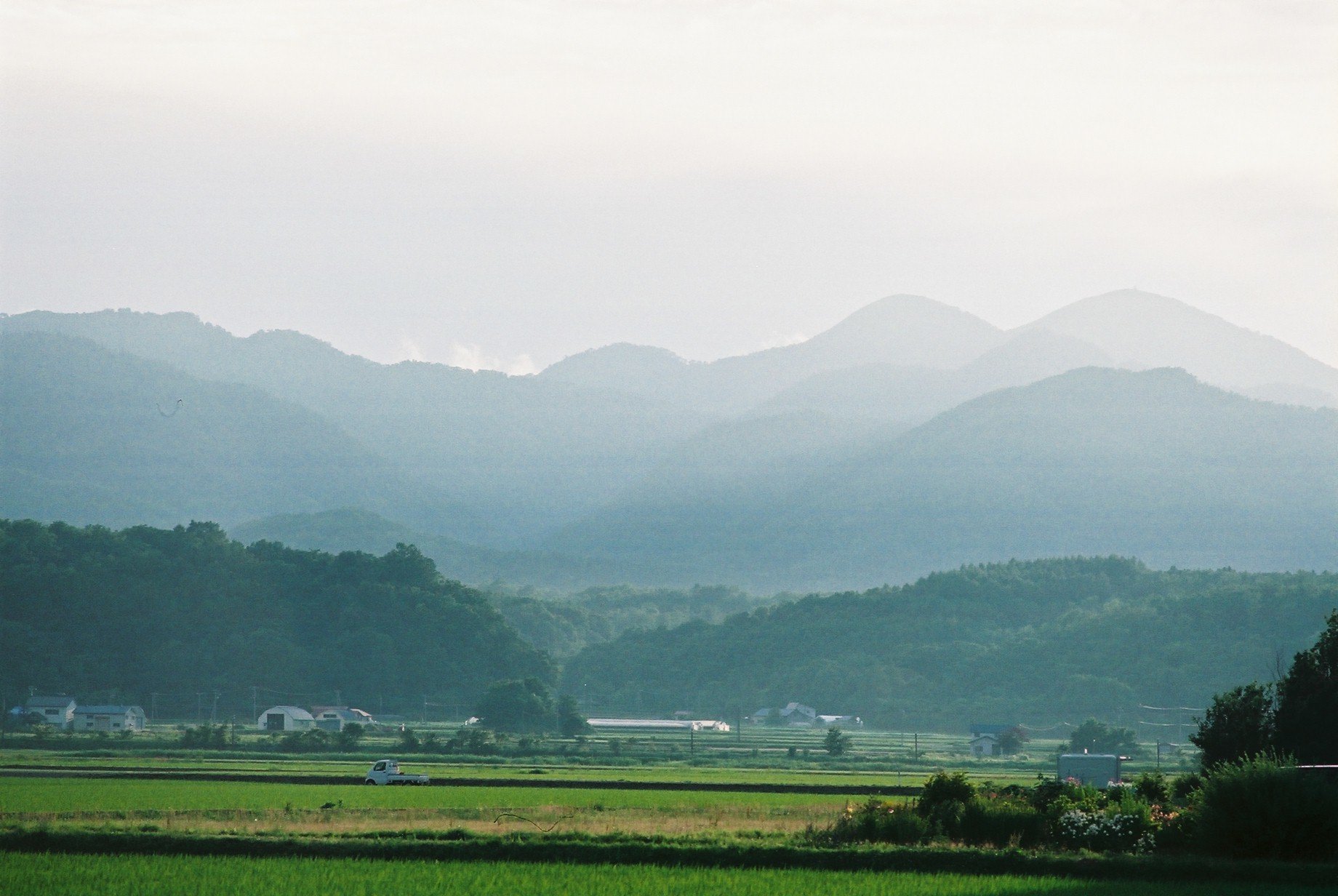 f0362725_14412691.jpg