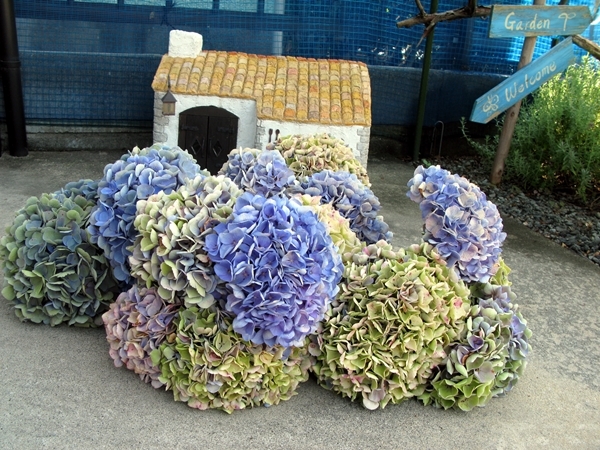 紫陽花 リース_f0129726_20183337.jpg