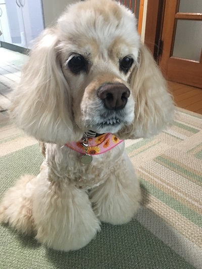 Happy birthday!！　★Vol.2★_e0345627_21390997.jpg