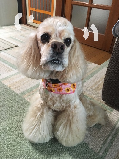 Happy birthday!！　★Vol.2★_e0345627_21391188.jpg