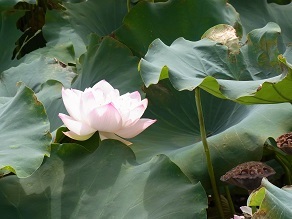 f0361027_08271257.jpg