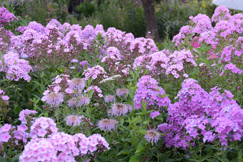 c0107129_24684.jpg