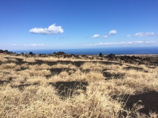 35年ぶり？椿祭りの伊豆大島上陸！！　PART２_c0088437_17574127.jpg