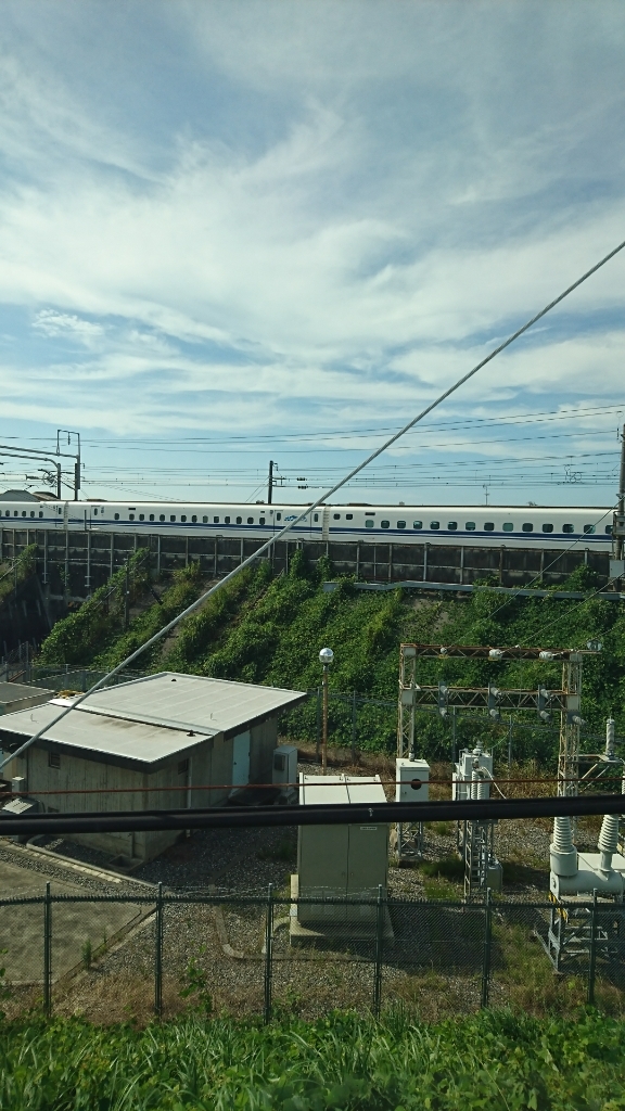 a0074543_17324473.jpg