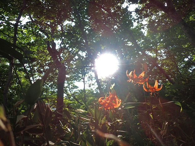 f0214649_05081099.jpg