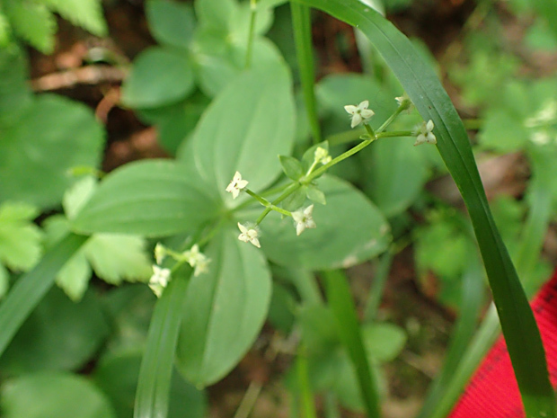 f0214649_05151234.jpg