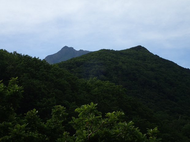 2017夏遠征③羅臼岳②_f0214649_05212831.jpg