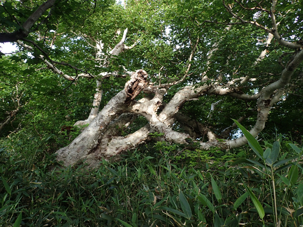 f0214649_05240282.jpg