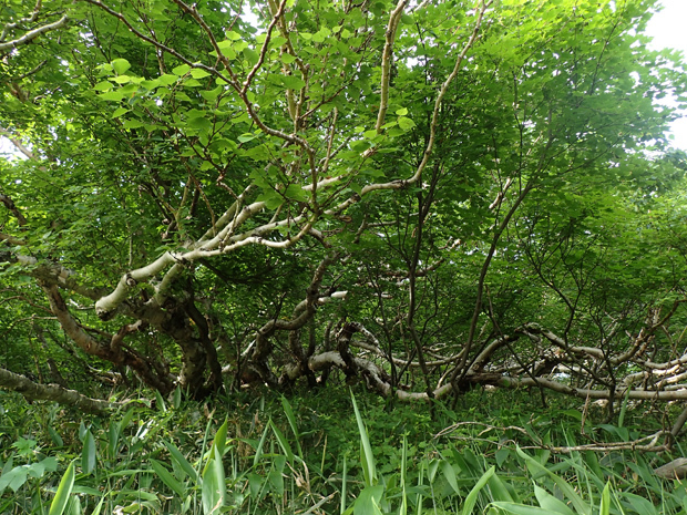 f0214649_05243164.jpg