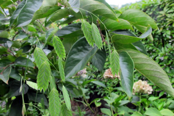 c0147952_21070701.jpg