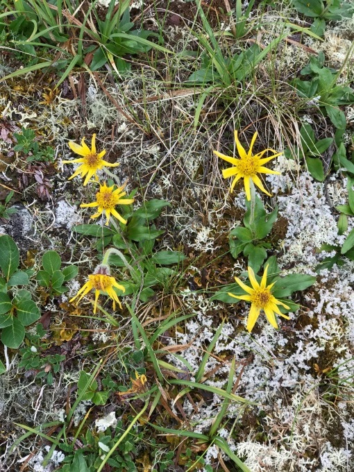 d0143355_05393053.jpeg