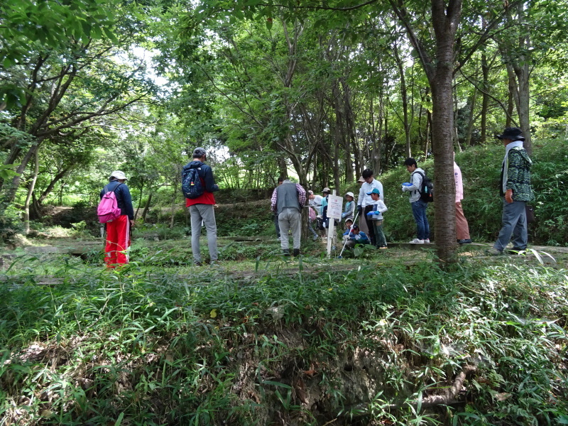 c0108460_22273948.jpg