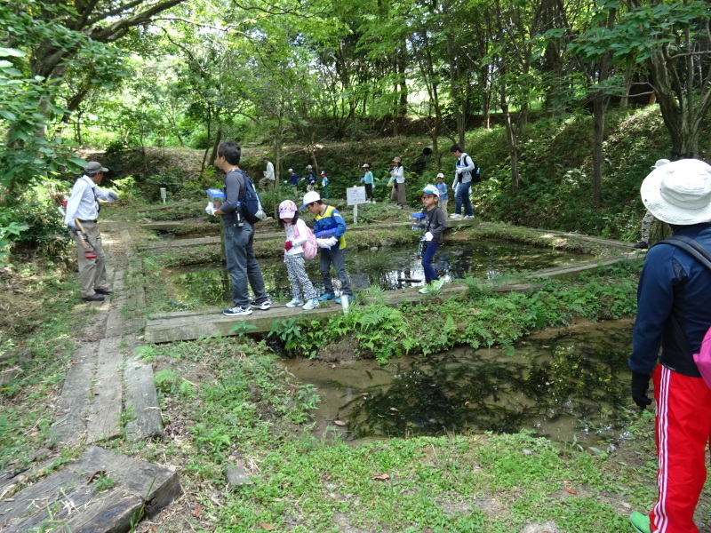 c0108460_22293541.jpg