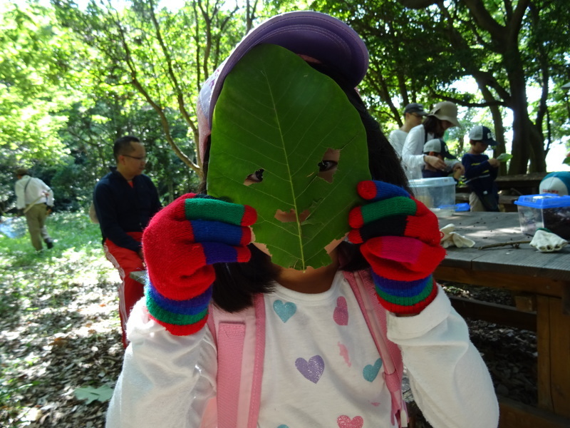 c0108460_22334437.jpg