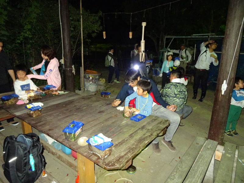 c0108460_23532671.jpg