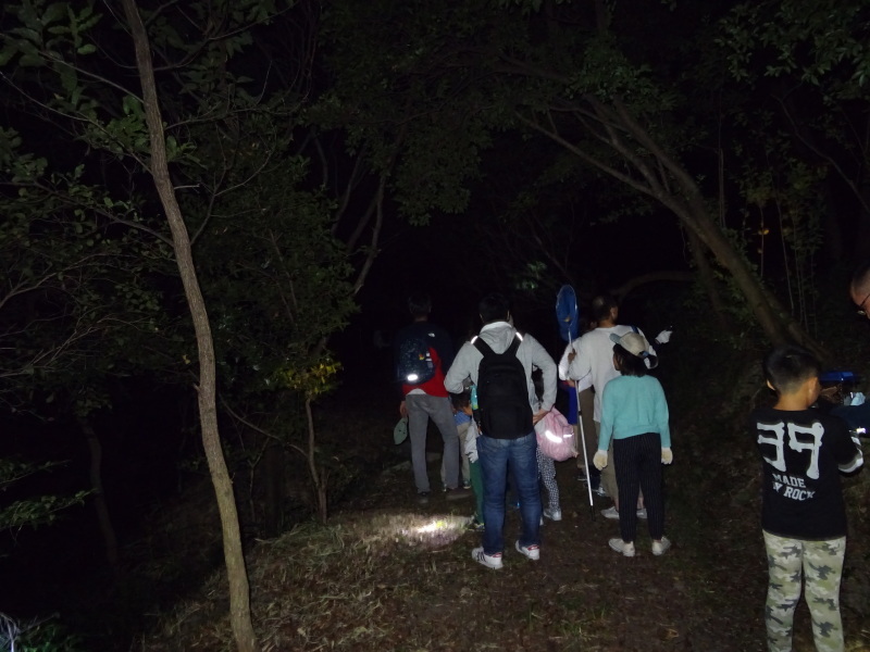c0108460_23544638.jpg