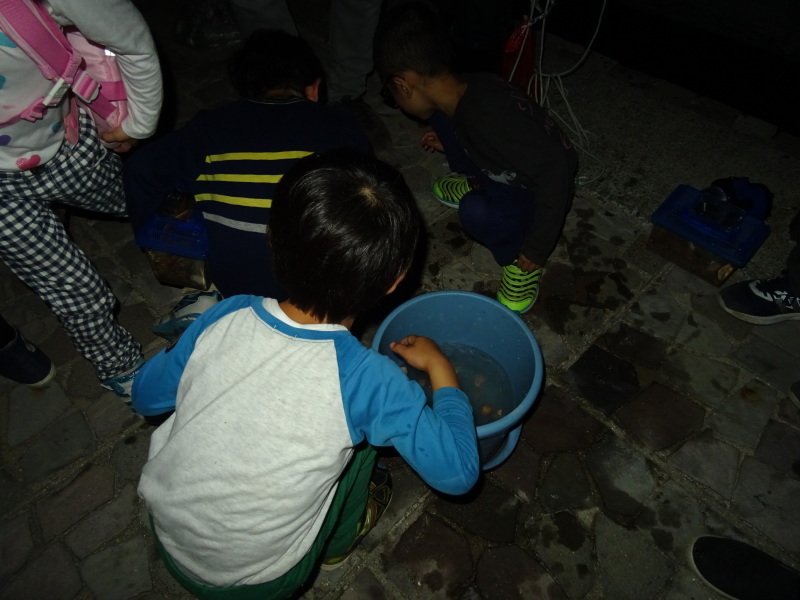 c0108460_23563211.jpg