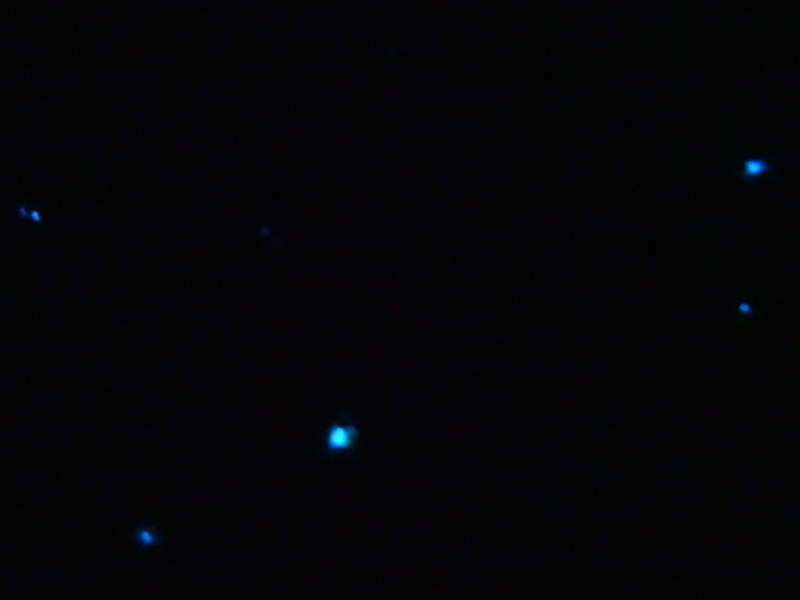 c0108460_23570327.jpg