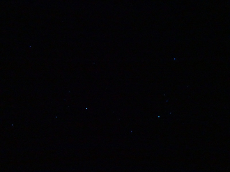 c0108460_23575069.jpg