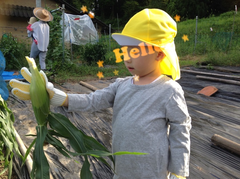 a0295764_01010341.jpeg