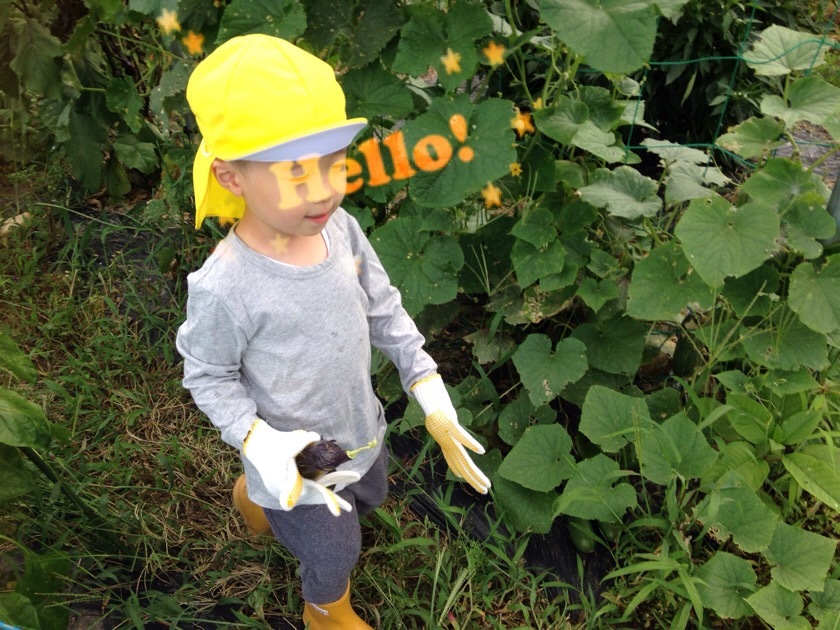 a0295764_01013269.jpeg