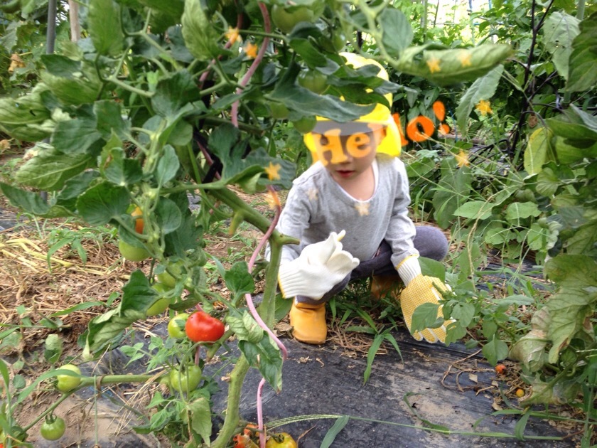 a0295764_01015038.jpeg