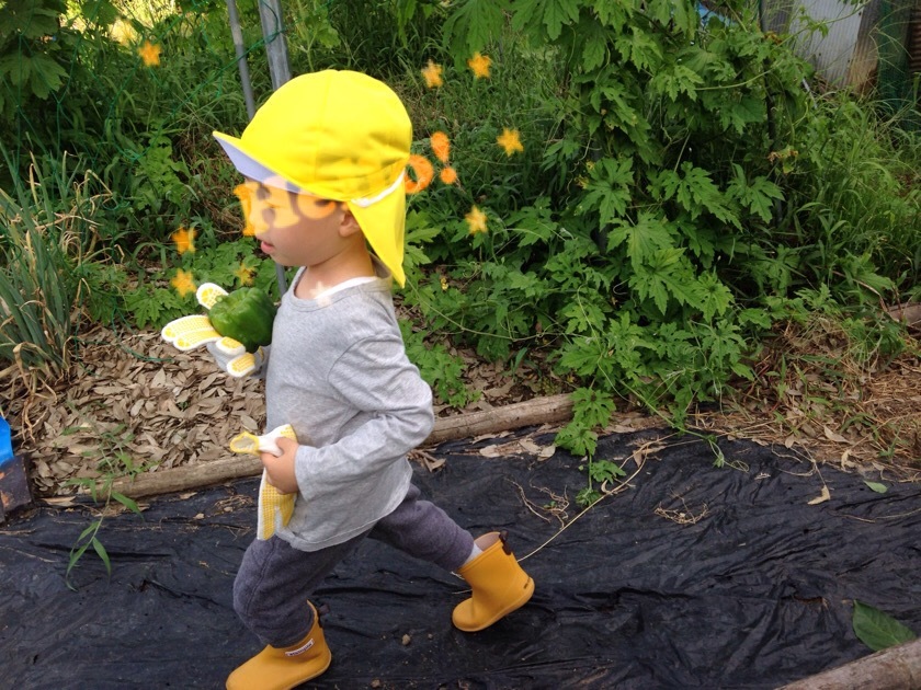 a0295764_01021599.jpeg
