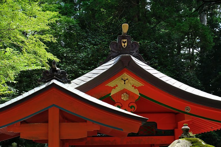 箱根神社（７月２１日）_c0057265_19252264.jpg