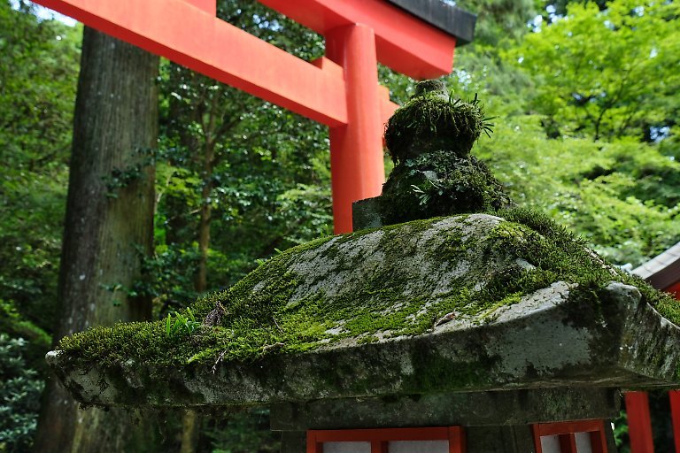 箱根神社（７月２１日）_c0057265_19253977.jpg