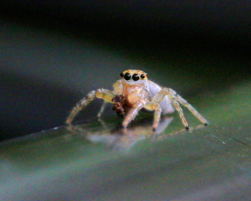 c0305565_19325988.jpg