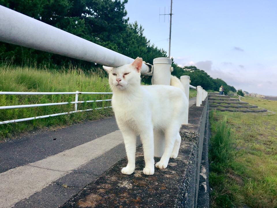 ゆっくり新幹線で寄り道_e0090970_09265784.jpg