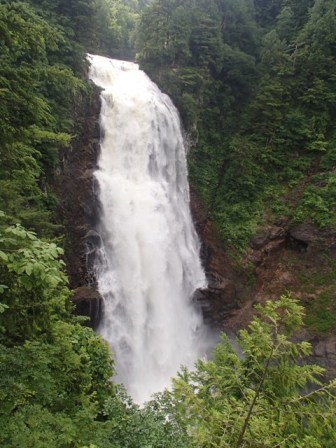 2017.7.17～19 尾瀬・至仏3日間の山旅（三日目）_a0344771_17051291.jpg