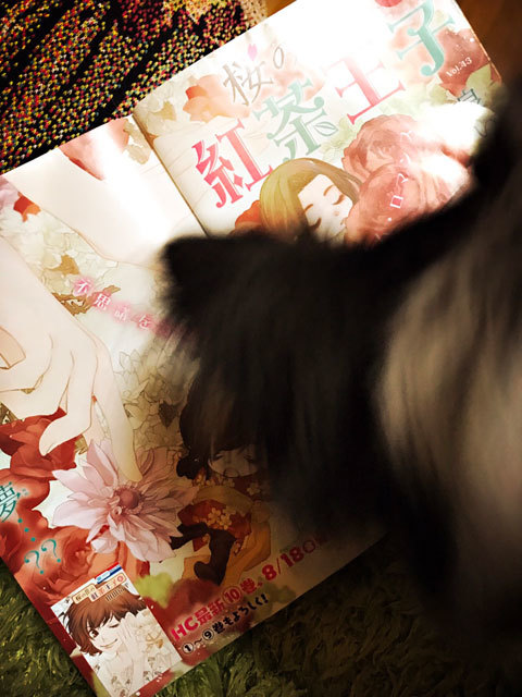別冊花とゆめ9月号_a0342172_17044353.jpg