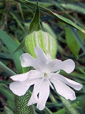 f0083977_22024223.jpg