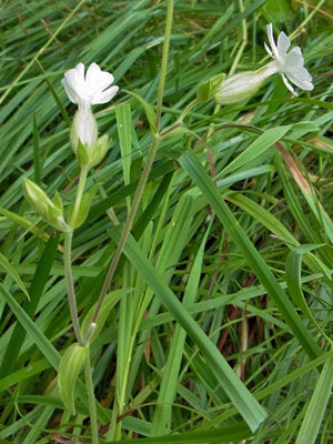 f0083977_22024236.jpg