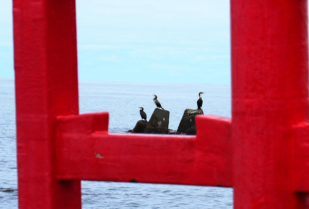 サロベツ原野＆稚内Ⅱ_c0355778_18390556.jpg