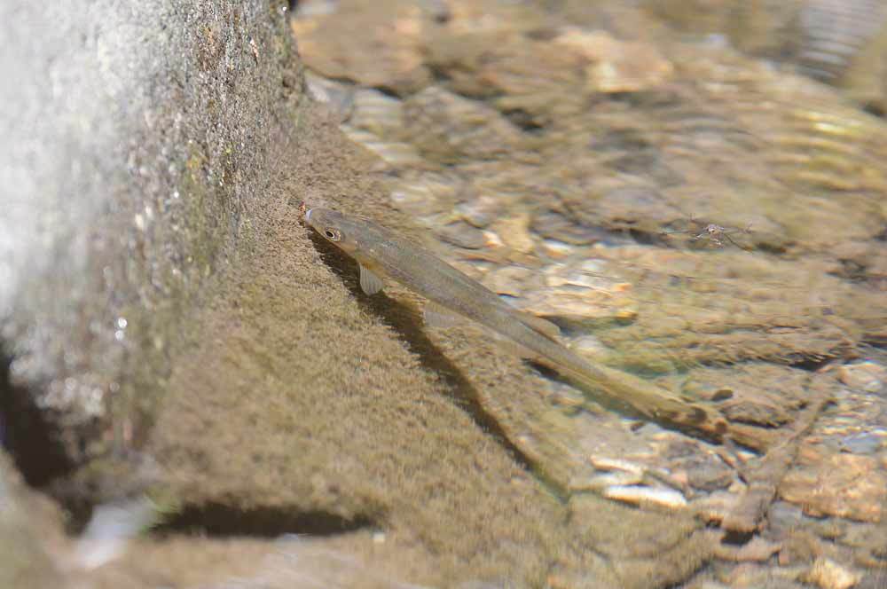 a0035279_23095635.jpg