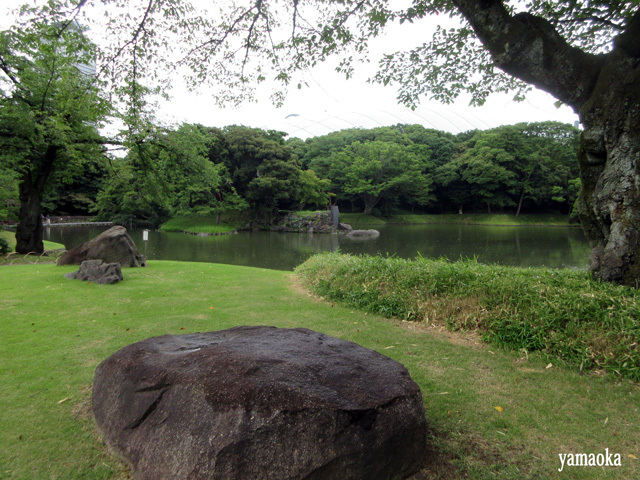 第8回田中裕明賞吟行会_f0071480_22503864.jpg