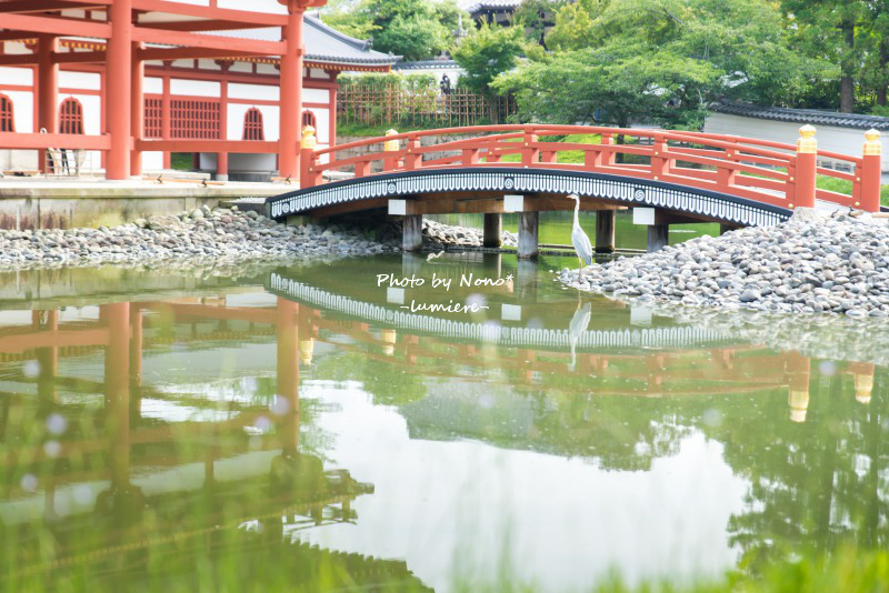 京都さんぽ1日目・平等院＆祇園祭編_e0352091_19124974.jpg