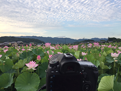 夏ってこんなに暑かったけ？_b0255609_22191951.jpg