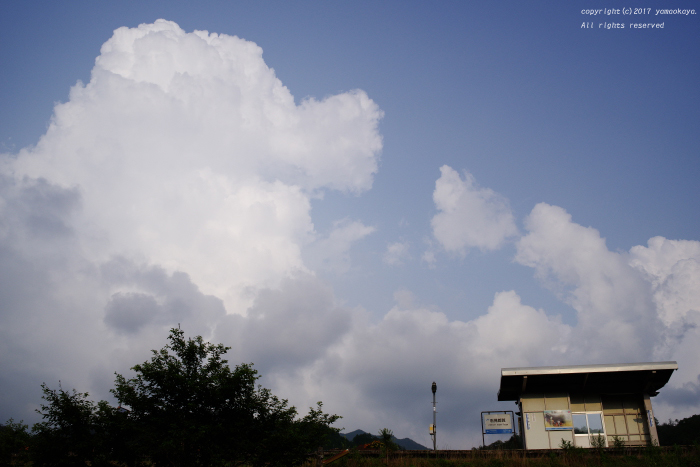 夏雲のわく季節_d0309612_22083534.jpg