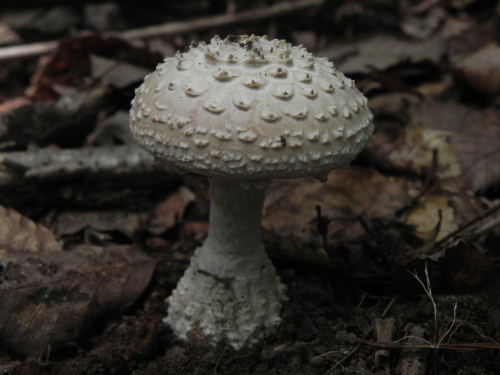 e0352220_13442669.jpg