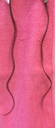 c0109726_15395371.jpg
