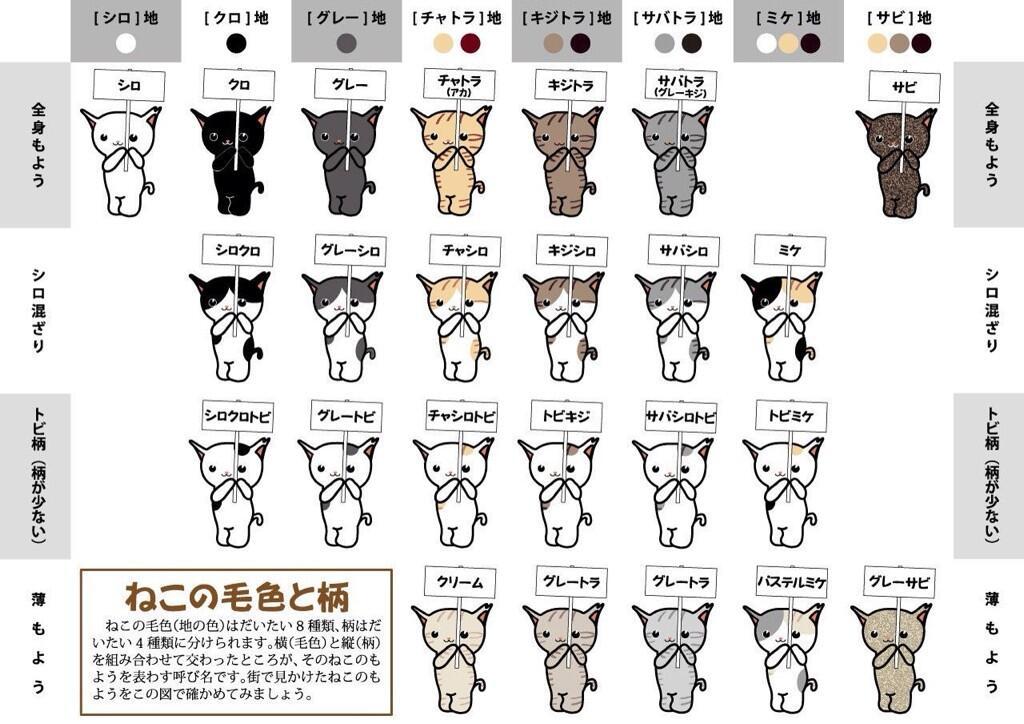 キジトラと白黒ハチワレ : 素人木工雑貨と猫日記