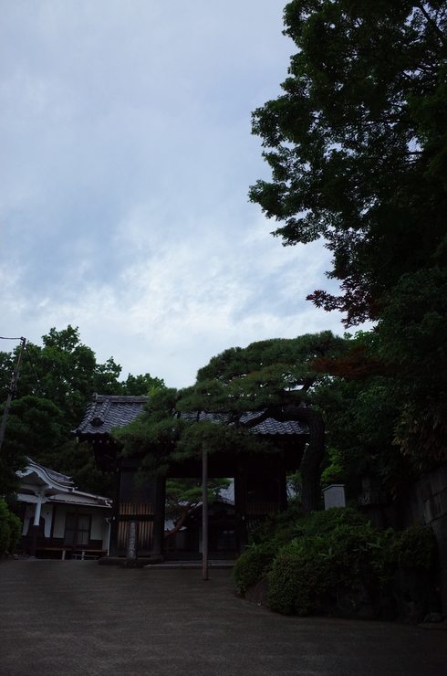 a0287336_183019100.jpg
