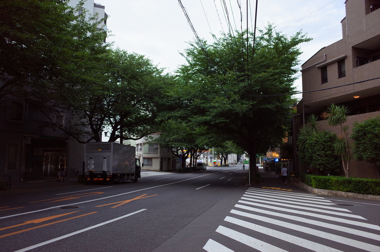 a0287336_1839044.jpg