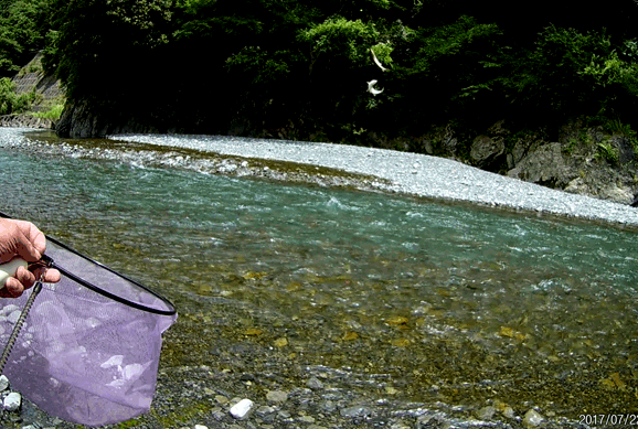 a0056140_18094118.gif