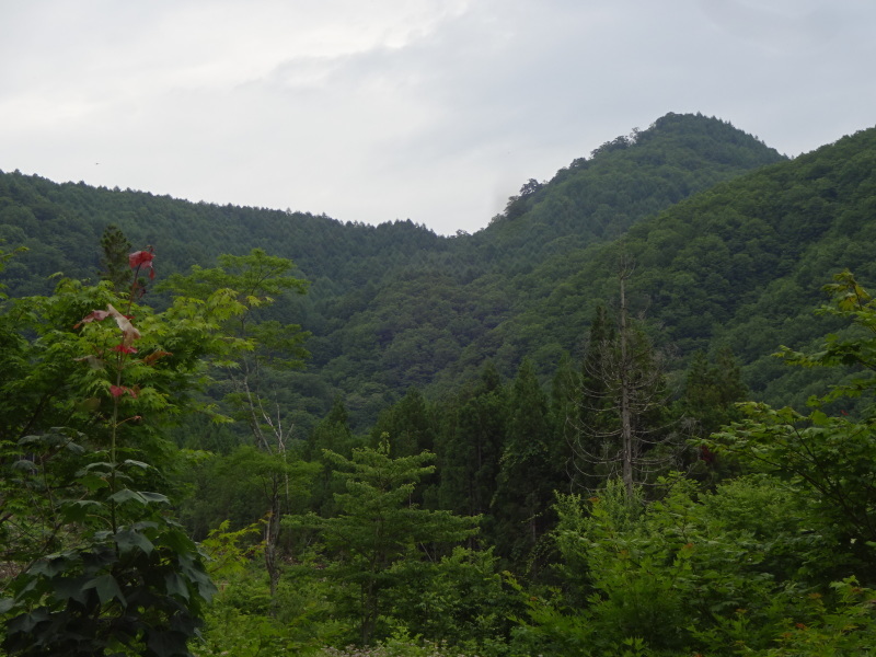 木の風呂　青森ひば　浴槽_e0156341_07395175.jpg