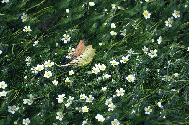 f0158043_22301577.jpg