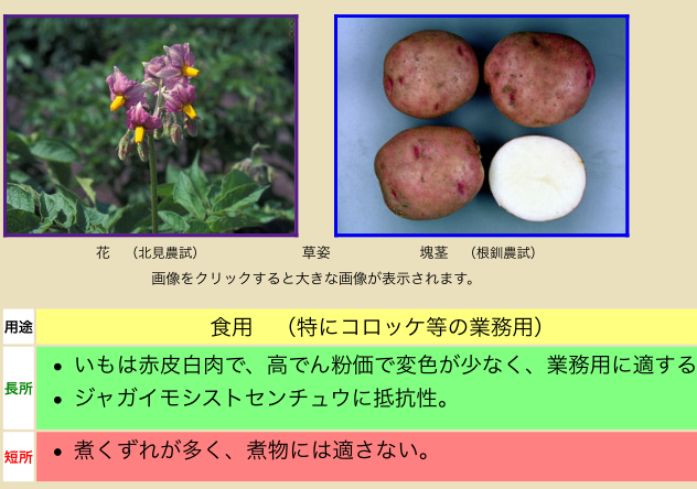 d0131847_13382580.png